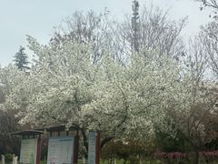 -西安外国语大学(长安校区)