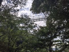 -藏龙百瀑风景区