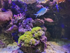 -郑州海洋馆
