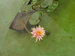 -南通洲际绿博园