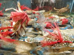 -巽寮印象美食部落餐厅·海鲜·地方特色菜(惠州体验店)