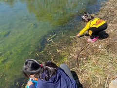 -大兴滨河森林公园