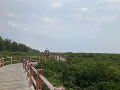 -北海金海湾红树林生态旅游区