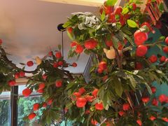 -百年神厨·地道川菜(紫荆店)