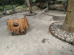 -呀路古热带植物园