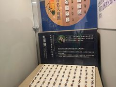 -上海大自然野生昆虫馆(东方明珠·爬宠昆虫探索中心)