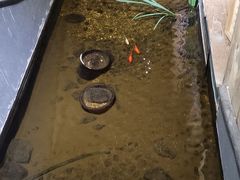 -邈墨茶馆(凤起路店)