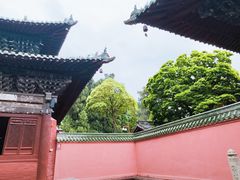 -报恩寺(平武县)