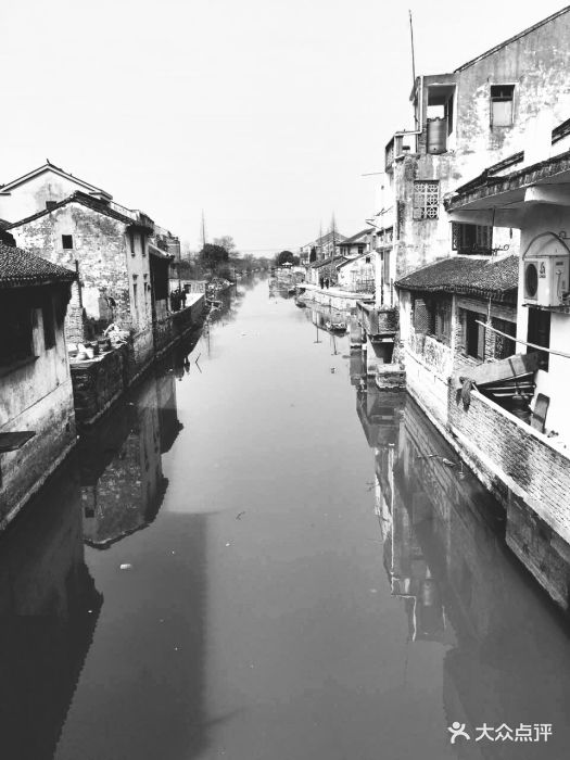 杨桥古村小桥流水人家图片 第247张