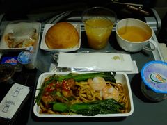 -新加坡航空公司(ION)