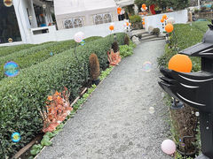 -龙坞茶村
