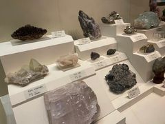 -天津自然博物馆