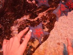 -沈阳海洋探索中心