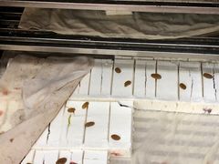 -芝兰斋糕干店(平山道店)