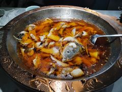 -雲蜀龙阁·金牌水煮鱼(方庄店)