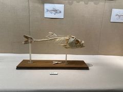-广东省博物馆