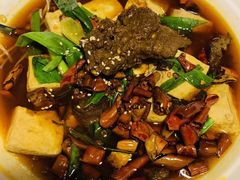 -新吉士·上海菜(浦东LCM置汇旭辉店)