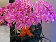 -高佳庄·海鲜酒楼(定海店)