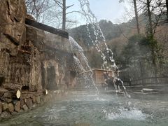 -宁海森林温泉