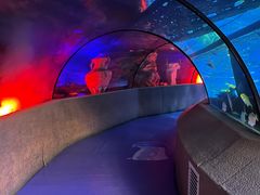 -太平洋海底世界