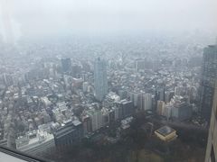 -东京都厅舍