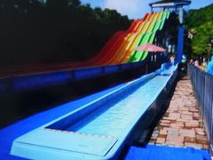 -重庆海昌加勒比海水世界