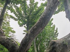-浙江大学(玉泉校区)