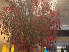 -广州天河希尔顿酒店