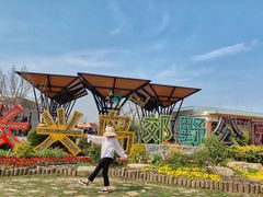 -上海长兴岛郊野公园