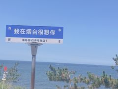 -养马岛旅游度假区