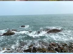 -小麦岛公园