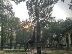 -西安秦岭野生动物园