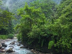 -西岭雪山大飞水景区