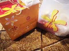 -Bengawan Solo(Changi Airport Terminal 2)