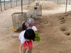 -前小桔亲子创意农场·草莓采摘·露营烧烤