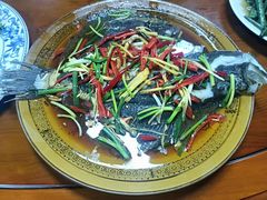 -柘林湖生态鱼馆
