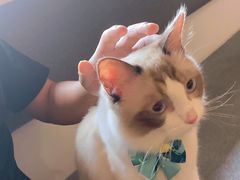 -光舍(香榭里花园店)