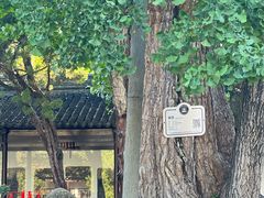 -苏州文庙(姑苏区)