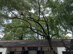 -岳麓山风景名胜区