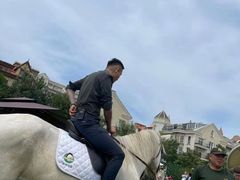 -烟台海昌鲸鲨海洋公园