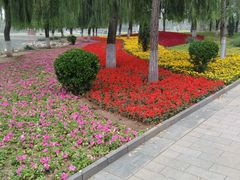 -廊坊文化艺术中心