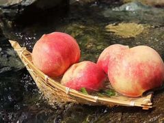 -无声臭豆腐(大井1号店)