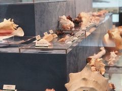 -浙江自然博物院(杭州馆)