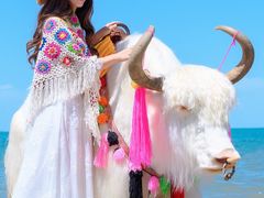 -青海湖国家重点风景名胜区