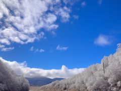 -神农架景区