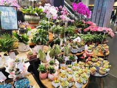 -豆豆花艺(新光天地店)