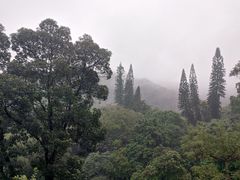 -广州市白云山风景名胜区