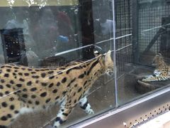 -荆州中山公园动物园