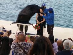 -秦皇岛乐岛海洋王国