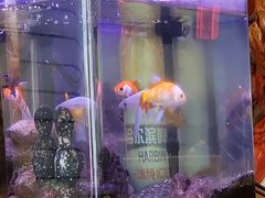 -昌盛德徐州老菜馆